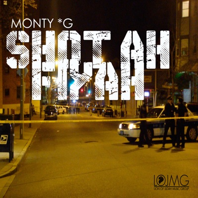 Shot Ah Fiyah - Single