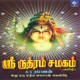 Sri Rudram Chamakam EP