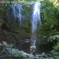 VERDE RESPLANDOR
