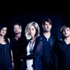 Fireflight