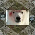 Run
