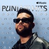 Punjabi Hits