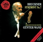 Bruckner: Symphony No. 7 artwork