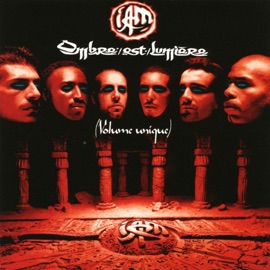 Je danse le mia (Le terrible funk remix) [Radio edit] IAM