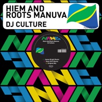 Hiem - DJ Culture (feat. Roots Manuva) [Hiem 2013 Remix]