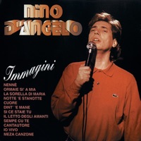 Immagini - Nino D'Angelo