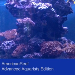 The Paletta 500 Gallon Reef Tank Build Out - Phase I - starting a large saltwater tank