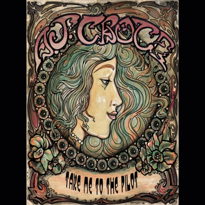 Take Me to the Pilot - Single