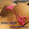 Spring Break - Spring Break Dj lyrics