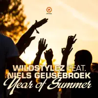 Year of Summer (feat. Niels Geusebroek) [Radio Edit]