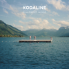 Kodaline - In a Perfect World artwork