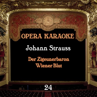Opera Karaoke, Vol. 24 (Johann Strauss)