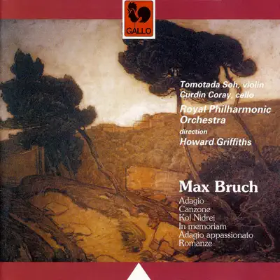 Bruch: Adagio, Canzone, Kol Nidrei, In Memoriam, Adagio Appassionato, Romanze - Royal Philharmonic Orchestra