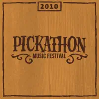 Don't Need No — Punch Brothers