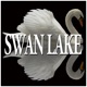 Tchaikovsky Swan Lake The Sleeping Beauty