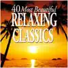 Oboe Concerto in D Minor, Op. 9 No. 2: II. Adagio