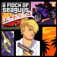 I Ran: The Best of A Flock of Seagulls (Re-Recorded Versions)