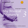 My Musical Pregnancy 3 - Raimond Lap