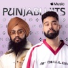 Punjabi Hits