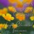 Valse Sentimentale, Op. 51, No. 6