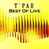 Icon T'Pau: Best of Live!