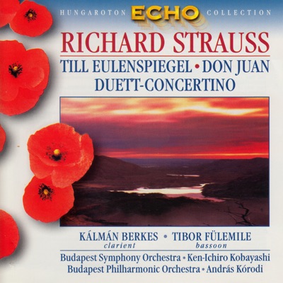 Till Eulenspiegel, Don Juan, Duett-Concertino