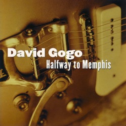 David Gogo - This Is a Man's World