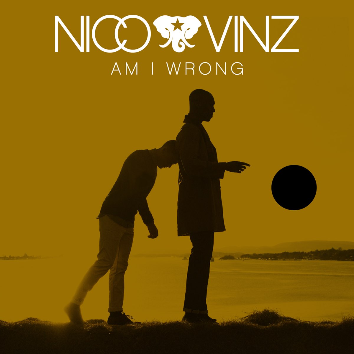  am i wrong single album by nico vinz apple music