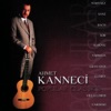 Ahmet Kanneci