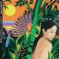天頂的月娘啊