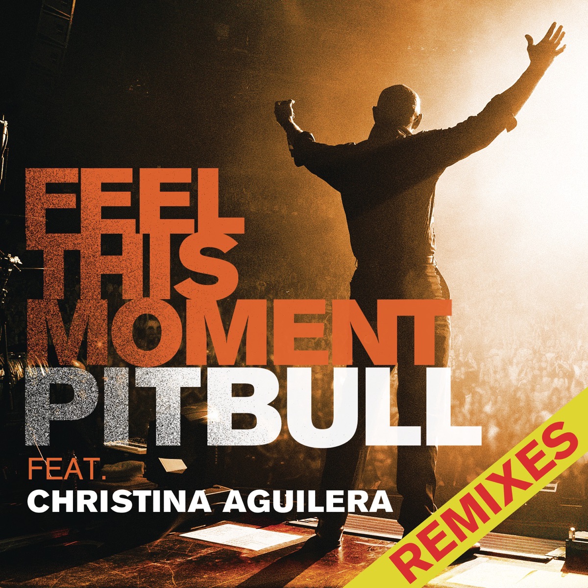 Pitbull - Feel This Moment (Remixes) [feat. Christina Aguilera] - EP (2013) [iTunes Plus AAC M4A]-新房子