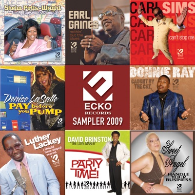 Ecko Records Sampler 2009