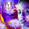 Lotus Groove