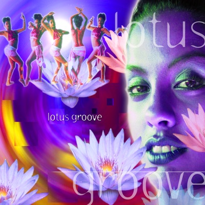 Lotus Groove