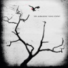 The Airborne Toxic Event (Deluxe Edition), 2009