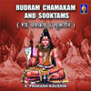 Rudram Chamakam And Sooktams - S Prakash Kaushik