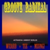 Groovz Radikal