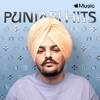Punjabi Hits