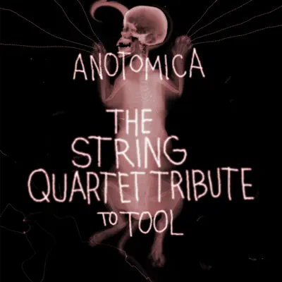 Anotomica - The String Quartet Tribute to Tool - Vitamin String Quartet