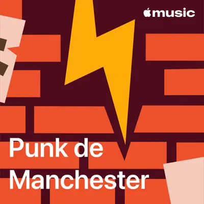 Écouter Punk mancunien : les indispensables avec notamment The Fall