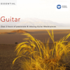 Various Artists - Essential Guitar artwork