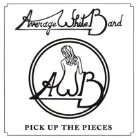Pick up the Pieces (Re-Recorded) — Average White Band