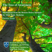 Patricia Arcari - The Tree of Awareness; Meditations from the Benson-Henry Institute for Mind Body Medicine artwork