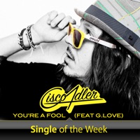 You're a Fool (feat. G. Love) - Single - Cisco Adler