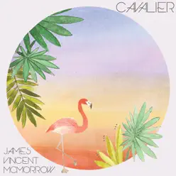 Cavalier - Single - James Vincent McMorrow