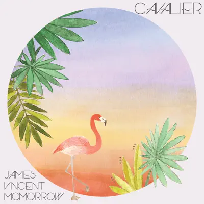 Cavalier - Single - James Vincent McMorrow