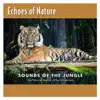 Echoes Of Nature - Turkey Talk