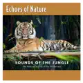 Jungle Birdsong