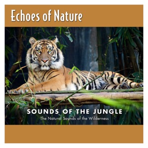 Sounds Of The Jungle