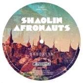 Kilimanjaro (Live) by The Shaolin Afronauts